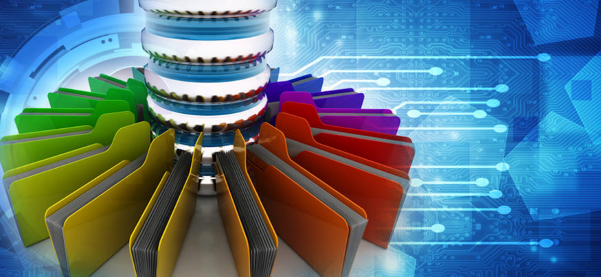 Rack-Scale Flash: Maximizing Flash Performance