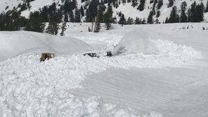 Lassen Volcanic National Park (LAVO) gets snow as early as September and as late as March.